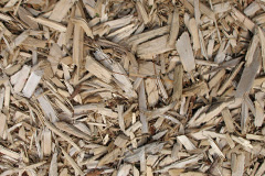 biomass boilers Legerwood
